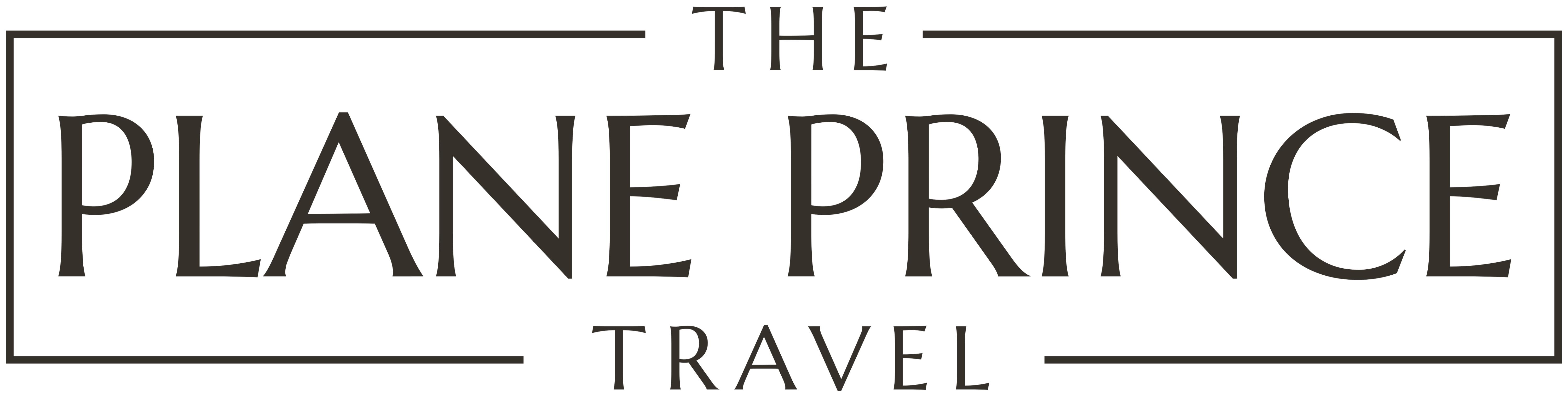 The Plane Prince Travel
